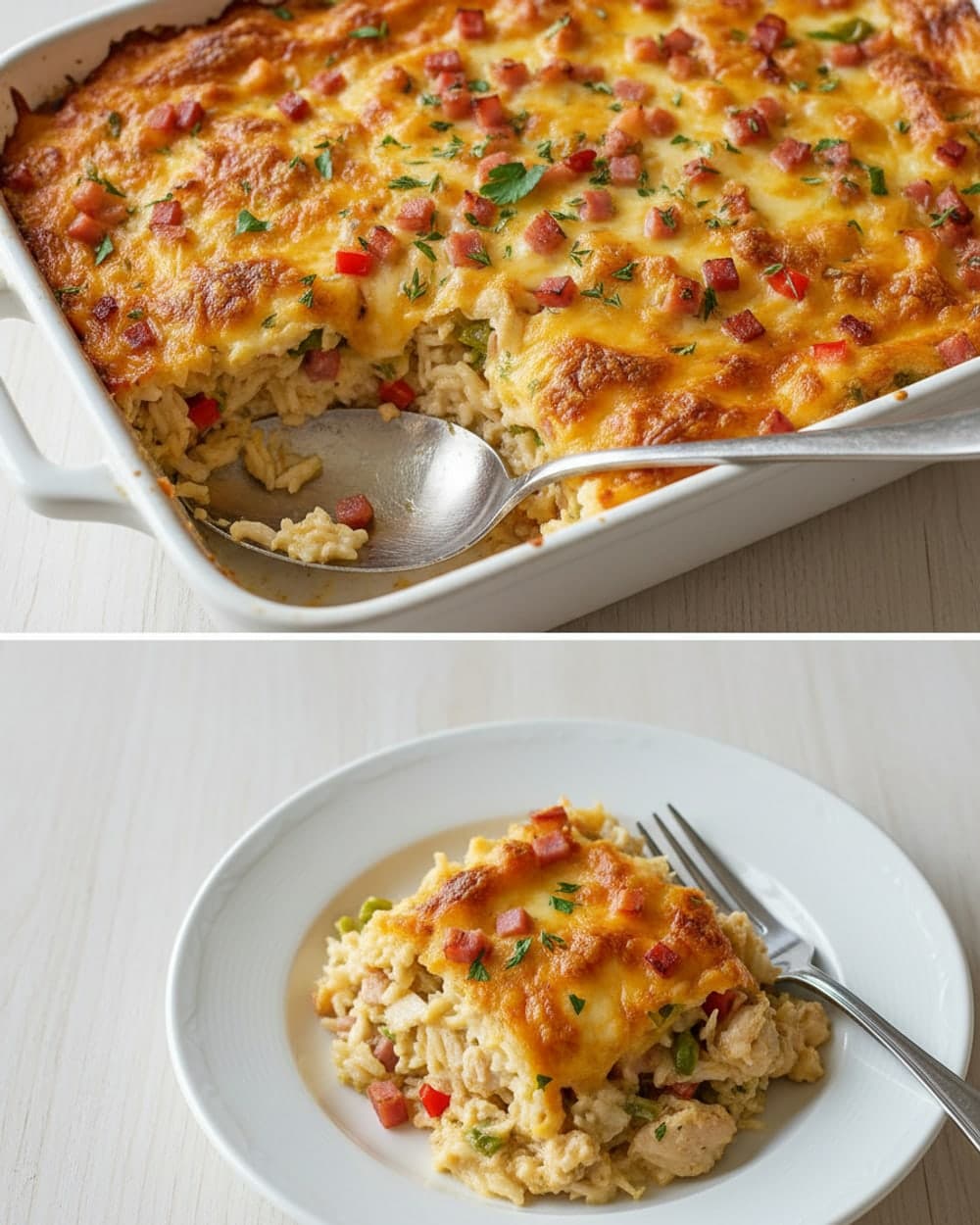 Chicken Turkey Rice Pair